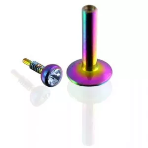 Rainbow Anodized Madonna Labret