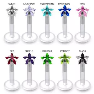 BioFlex Labret with Star Jeweled Threadless pin top