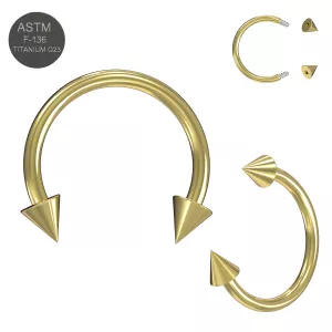 G23 Grade Titanium Gold Anodized Circular Barbells with Cone