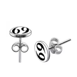 925 Sterling Silver 69 Logo Silver Earring