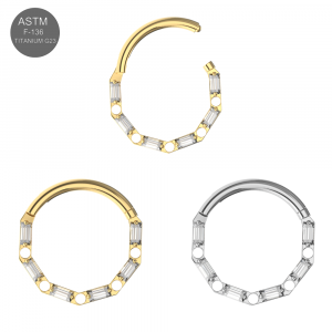 G23 Titanium Baguette Hinged Segment Clicker Ring
