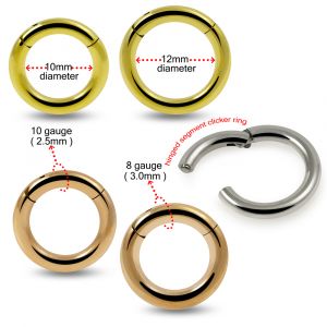 316L Surgical Steel Heavy Gauge Classic Hinged Segment Clicker Ring