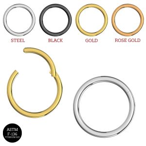 G23 Grade Titanium Heavy Gauge Classic Hinged Segment Clicker Ring