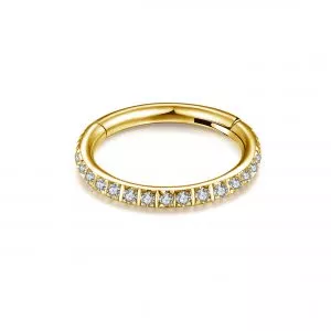 Titanium G23 grade 20G Micro CZ Paved Hinged Clicker