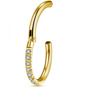 316L Surgical Steel 18G Hinged Segment Clicker Ring with Micro Setting CZ Stones