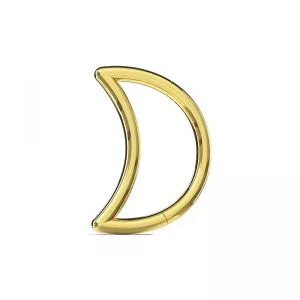 Small Moon Nose Hoop Segment Clicker Ring