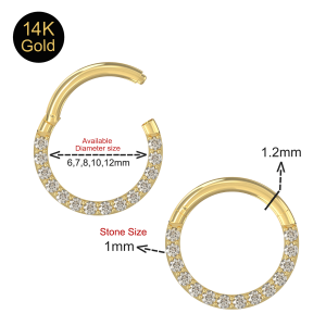 14K Yellow Gold Continuous Cubic Zirconia Jeweled Segment Clicker Ring
