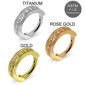 G23 Grade Titanium CZ Jeweled Hinged Clicker Segment Ring
