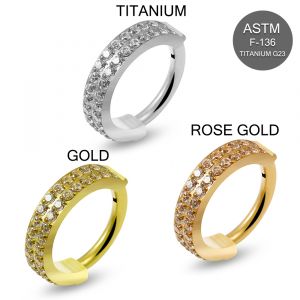 G23 Grade Titanium Double Row CZ Hinged  Segment  Clicker Ring