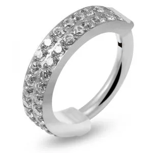 G23 Grade Titanium Double Row CZ Hinged  Segment  Clicker Ring