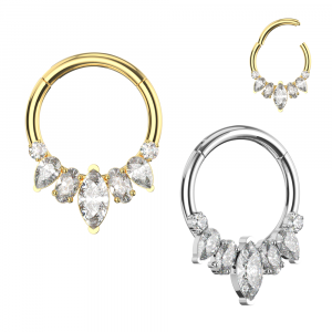 316L Surgical Steel Different Stone Design Hinged Segment Clicker Ring