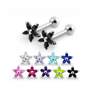 Jeweled Silver Ear Jewelry