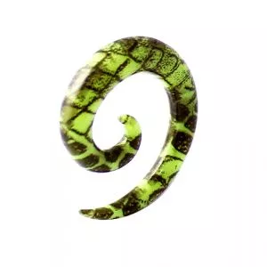 Black Pattern Spiral Expander