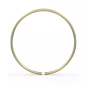 10K Gold Seamless Nose and Cartilage Hoop Ring