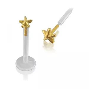 Bio-Plast Lip Labret with Star 14K Gold Top