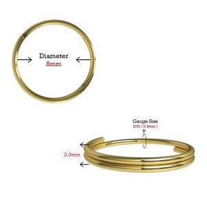 14K Gold Seamless Continuous Double Round Nose Hoop Ring