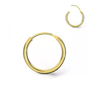 14K Gold Segment Hinged Hoop Ring for Nose and Ear