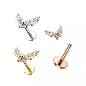 CZ Jeweled Butterfly Internally Threaded 316L Surgical Steel Screw Fit Tragus Piercing