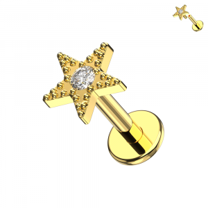 316L Surgical Steel Micro-Beaded Star Internally Threaded Labret (16G)