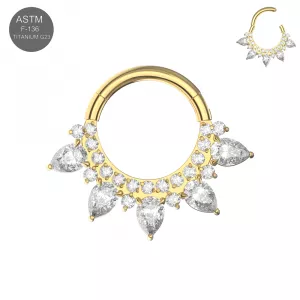 G23 grade Titanium Teardrop CZ Jeweled Hinged Segment Clicker Ring