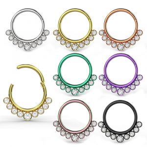 316L Surgical Steel 9 CZ Paved Hinged Clicker