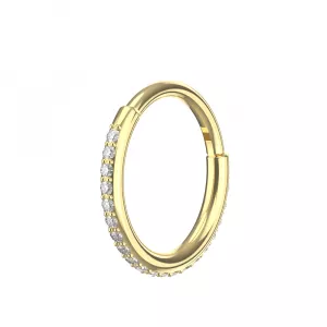 Micro Setting CZ Stones Hinged Segment Clicker Ring
