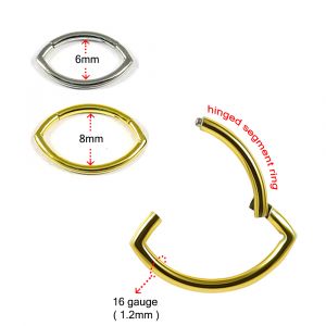 316L Surgical Steel Oval Shape Classic Hinged Segment Clicker Ring
