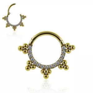 316L Surgical Steel Multi Crystals Hinged Clicker