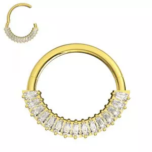 CZ Jeweled 316L Surgical Steel Hinged Segment Clicker Ring