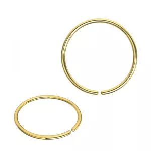 316L SS Anodized Gold Nose Ring