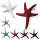 Multi Crystal stones Star Fish Pendent 
