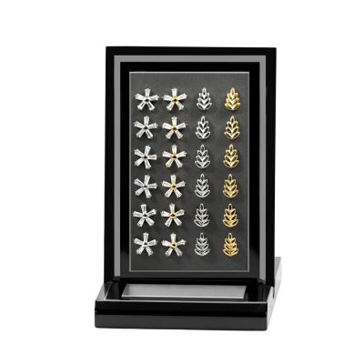 24pcs G23 Titanium Five Petals and Wheat Labret Display Kit-Assorted Colors
